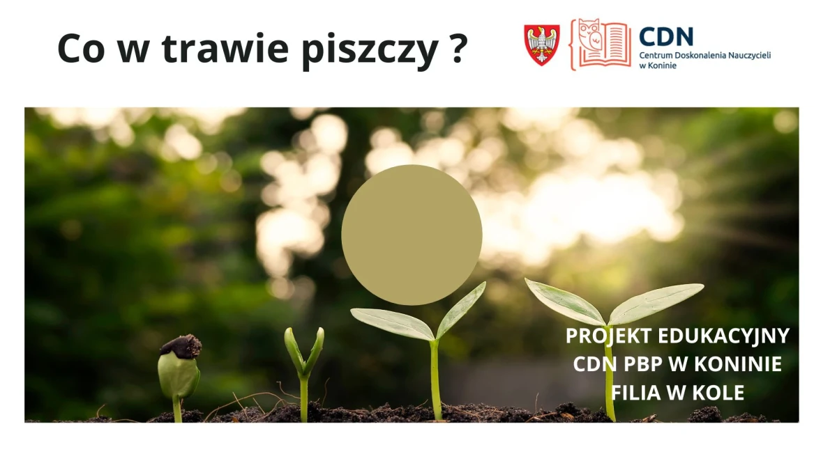 Projekt Co w trawie piszczy