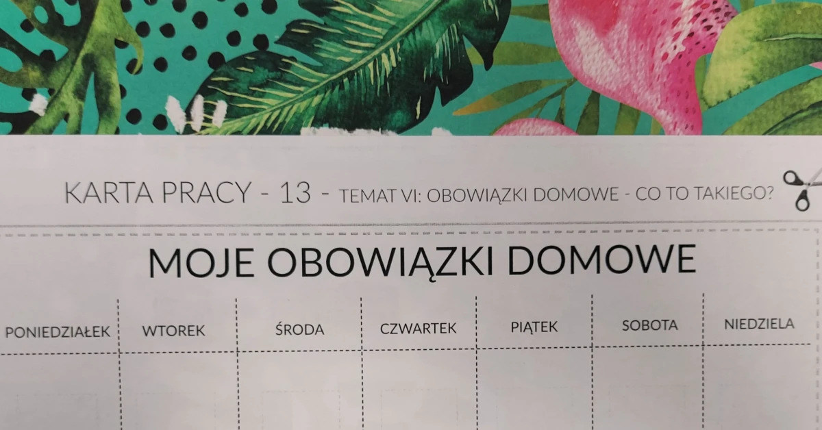 Karta pracy, moje obowiązki domowe