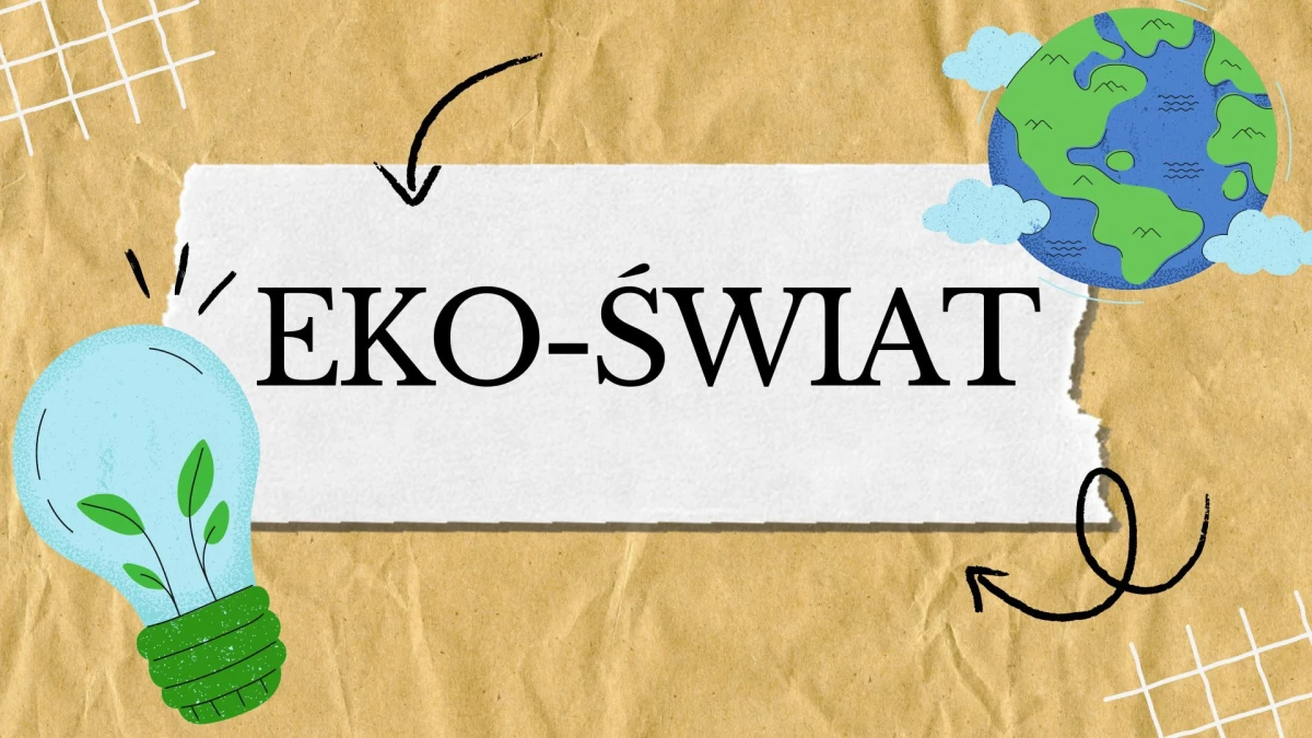 Plakat Projektu „EKO-ŚWIAT”